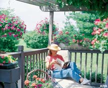 Here is a great deck with lots of healthy plants and flowers on display.