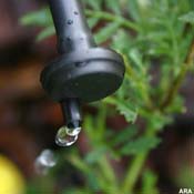 With micro sprinklers and drip irrigation systems you can keep your garden green with 20 to 50 percent less water than with hand watering.