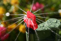 On average, micro sprinklers and drip irrigation use 80 to 90 percent less water than traditional irrigation.
